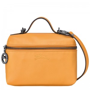 Longchamp Le Pliage Xtra XS Vanity Crossbodytassen Dames Abrikoos Oranje | 397201-HQC