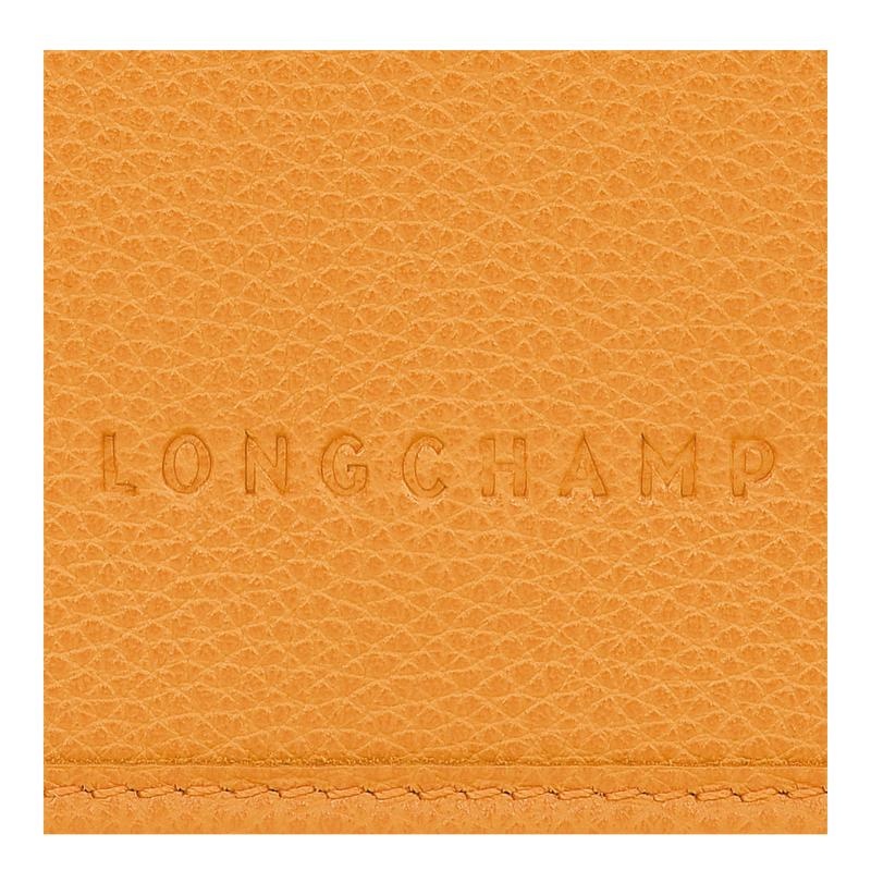 Longchamp Le Foulonné XS Clutch Dames Abrikoos Oranje | 408576-NTY